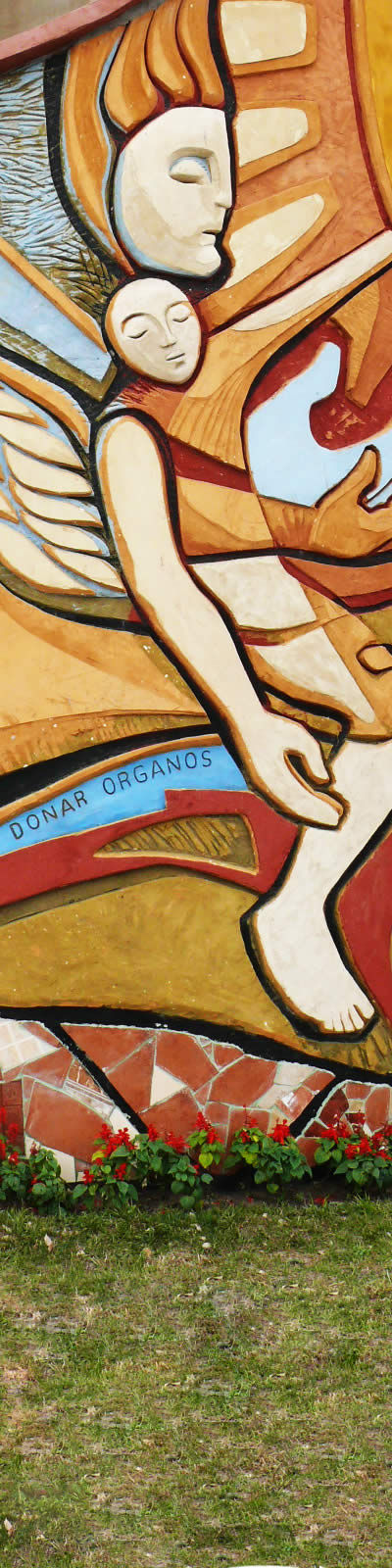 Red Donar 2011